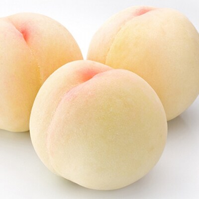 固めの桃 白桃 晩生種 3玉 約900g 1玉約300g もも 2026年[NO5765-0658]