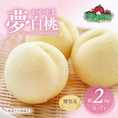 桃 おかやま 夢 白桃 約2kg 5～7玉 贈答用 もも 2026年[NO5765-0689]