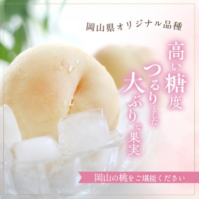 桃 おかやま 夢 白桃 約2kg 5～7玉 贈答用 もも 2026年[NO5765-0689]