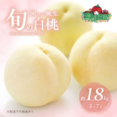 固めの 桃 晩生の旬の 白桃 約1.8kg 5～7玉 進物用 2026年[NO5765-0691]