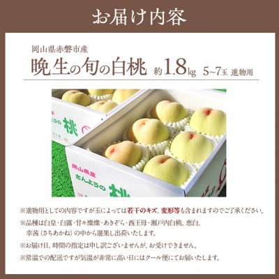 固めの 桃 晩生の旬の 白桃 約1.8kg 5～7玉 進物用 2026年[NO5765-0691]