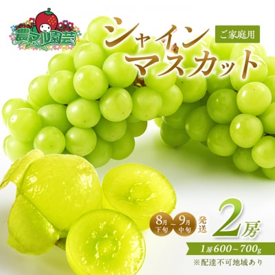 シャインマスカット 2房 8月下旬～9月中旬発送分 ご家庭用 2026年[NO5765-0692]