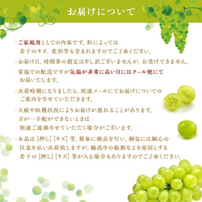 シャインマスカット 2房 8月下旬～9月中旬発送分 ご家庭用 2026年[NO5765-0692]
