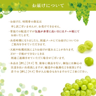 シャインマスカット 1房 約800g 贈答箱 ぶどう 葡萄 2026年[NO5765-0694]