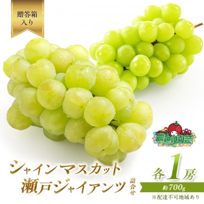 シャインマスカット 1房 瀬戸ジャイアンツ 1房 各約700g 贈答箱[NO5765-0695]