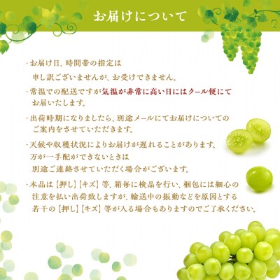 シャインマスカット 1房 瀬戸ジャイアンツ 1房 各約700g 贈答箱[NO5765-0695]