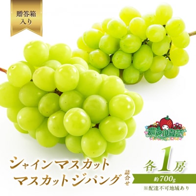 シャインマスカット 1房 マスカットジパング 1房 各約700g 贈答箱[NO5765-0696]