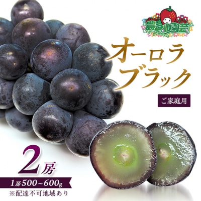 ぶどう オーロラブラック 2房 1房 500g～600g ご家庭用[NO5765-0698]