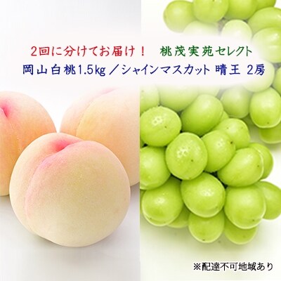岡山 白桃 1 5kg シャインマスカット 晴王 2房 1房550g以上 No5765 0729 お礼品詳細 ふるさと納税なら さとふる