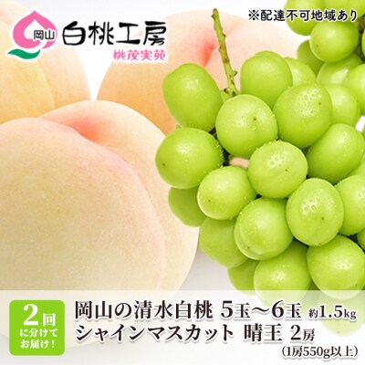 清水 白桃 1.5kg シャインマスカット 晴王 2房(1房550g以上)[NO5765-0731]