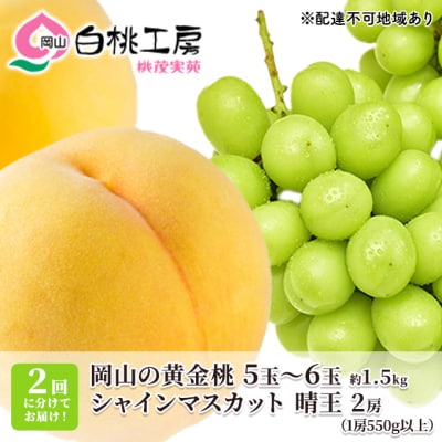 岡山 黄金 桃 1.5kg シャインマスカット 晴王 2房 2025年[NO5765-0733]