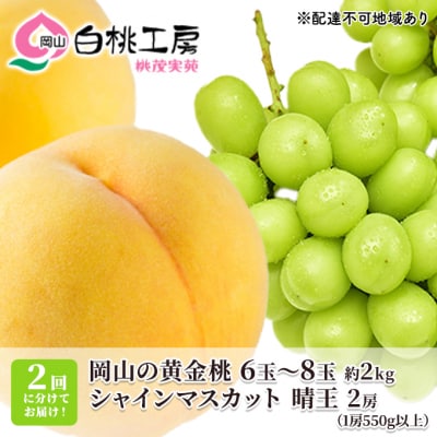 岡山 黄金 桃 2kg シャインマスカット 晴王 2房[NO5765-0734]