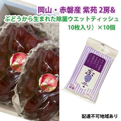 赤磐産紫苑2房&ぶどうから生まれた除菌ウエットティッシュ10個[NO5765-0737]