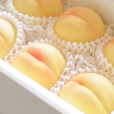 稚媛の里セレクト 白桃 5～7玉 合計約1.2kg 岡山県 2025年[NO5765-0636]