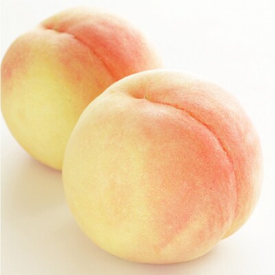 稚媛の里セレクト 白桃 5～7玉 合計約1.2kg 岡山県 2025年[NO5765-0636]
