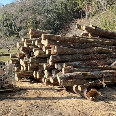 薪 広葉樹 ミックス キャンプ用 18～20kg アウトドア 乾燥薪 [NO5765-0772]