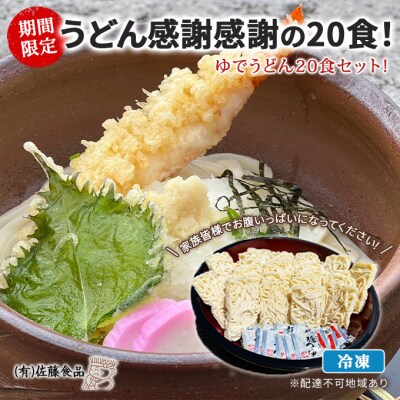 うどん 期間限定!冷凍ゆでうどん20食セット! [NO5765-0805]