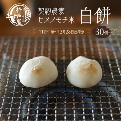 白餅 30個(保存料無添加)(2025年11月中旬～12月28日出荷分)[NO5765-0826]