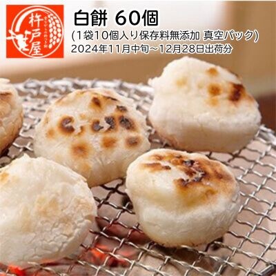 白餅 60個(保存料無添加)(2024年11月中旬〜12月28日出荷分)[NO5765-0827]