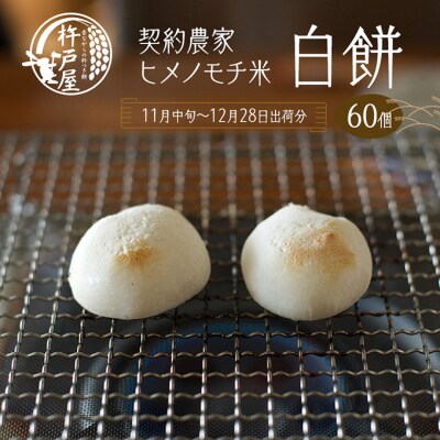 白餅 60個(保存料無添加)(2025年11月中旬～12月28日出荷分) [NO5765-0827]