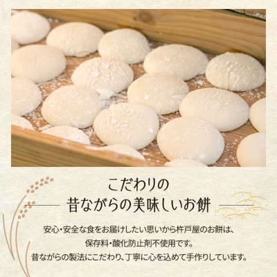 白餅 30個(保存料無添加)(2026年1月中旬～3月中旬出荷分)[NO5765-0828]