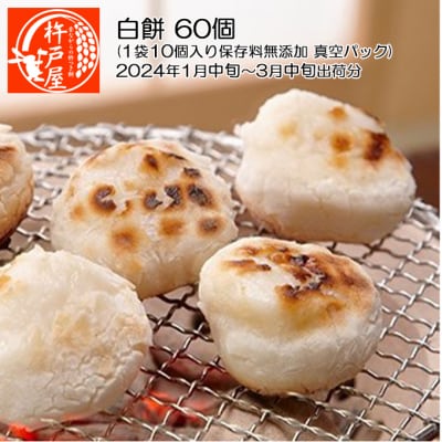 白餅 60個(保存料無添加)(2025年1月中旬〜3月中旬出荷分)[NO5765-0829]