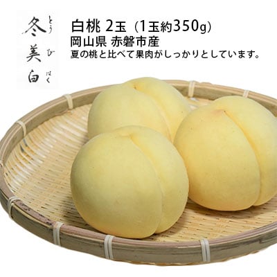 桃 白桃 冬美白 とうびはく 2玉 1玉約350g もも 2026年[NO5765-0830]