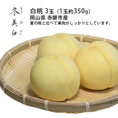 桃 白桃 冬美白 とうびはく 3玉 1玉約350g もも 2025年[NO5765-0831]