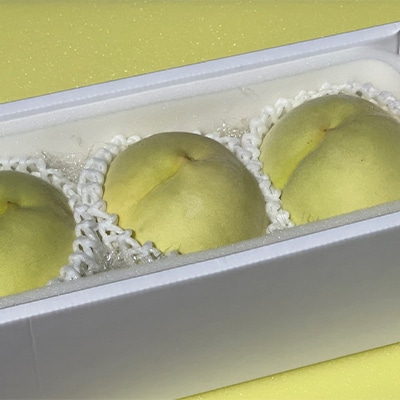 桃 白桃 冬美白 とうびはく 3玉 1玉約350g もも 2025年[NO5765-0831]