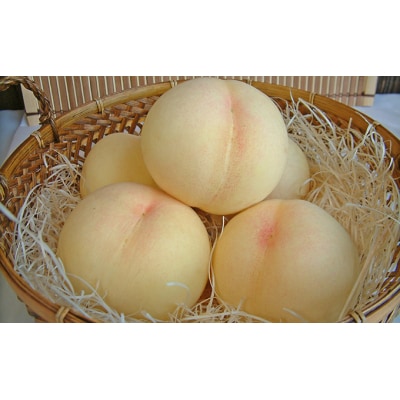 桃 2025年 先行受付 清水 白桃 約3.0kg 9～12玉  もも [NO5765-0485]