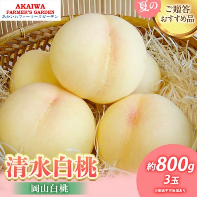 桃 2025年 先行受付 清水 白桃 約800g 3玉  もも 岡山県 [NO5765-0486]