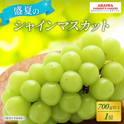 ぶどう 2025年 先行受付 シャインマスカット 約700g 1房 盛夏[NO5765-0497]