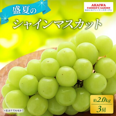 ぶどう 2025年 先行受付 シャインマスカット 約2.0kg 3房 盛夏[NO5765-0499]