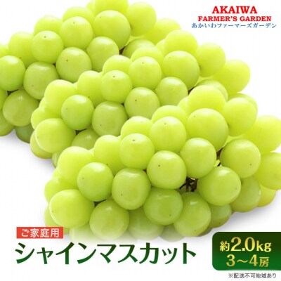 ご家庭用 シャインマスカット 約2.0kg 3～4房 ぶどう 2025年[NO5765-0584]