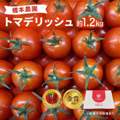 フルーツトマト [2027年先行受付]トマデリッシュ 約1.2kg [NO5765-0835]
