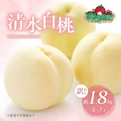 桃 訳あり品 清水 白桃 約1.8kg 5～7玉 もも 2026年[NO5765-0841]