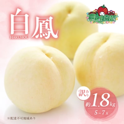 桃 訳あり品 白桃 白鳳 約1.8kg 5～7玉 もも 2026年[NO5765-0842]