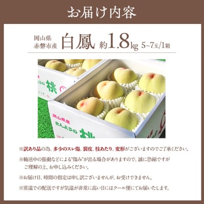 桃 訳あり品 白桃 白鳳 約1.8kg 5～7玉 もも 2026年[NO5765-0842]