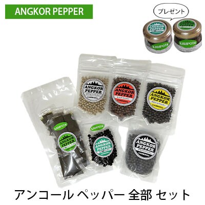 アンコール ペッパー 全部セット(乾燥・生 塩蔵)胡椒 スパイス [NO5765-0834]