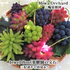 ジュエルボックス 皮ごと食べられる 葡萄 4～5品種 詰合せ 2026年[NO5765-0868]