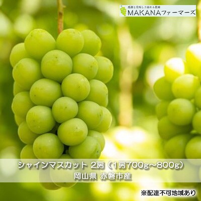 シャインマスカット 2房 (1房700g～800g) ぶどう 2026年[NO5765-0847]