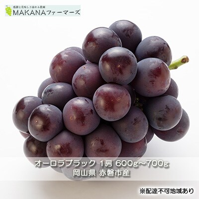 オーロラブラック 1房 600g〜700g ぶどう 葡萄 2024年[NO5765-0848]