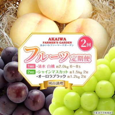 清水白桃 約2.0kg 6～8玉 ぶとう 2種 詰合せ 定期便 2025年[NO5765-0859]