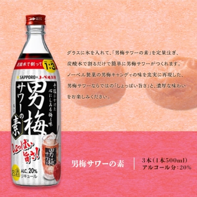 サッポロ 男梅サワー の素 3本(1本500ml) お酒 男梅 サワー  [NO5765-0864]