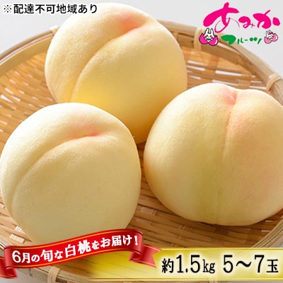 2026年 桃 6月の旬な 白桃 をお届け!約1.5kg 5～7玉 もも[NO5765-0873]