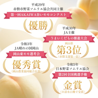 2026年 桃 清水 白桃 約1.5kg 5～7玉 糖度12度以上[NO5765-0877]