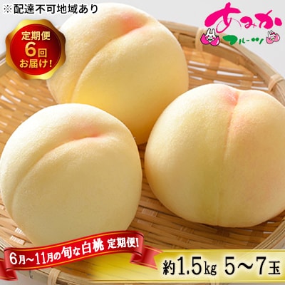 桃 定期便 6月～11月 の旬な 白桃 定期便 1.5kg 5～7玉×6回[NO5765-0880]