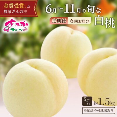 桃 定期便 6月～11月 の旬な 白桃 定期便 1.5kg 5～7玉×6回[NO5765-0880]