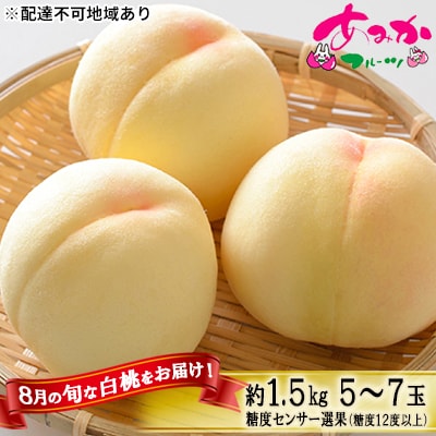 桃 8月の 白桃 約1.5kg 5～7玉 糖度12度以上 2025年[NO5765-0875]