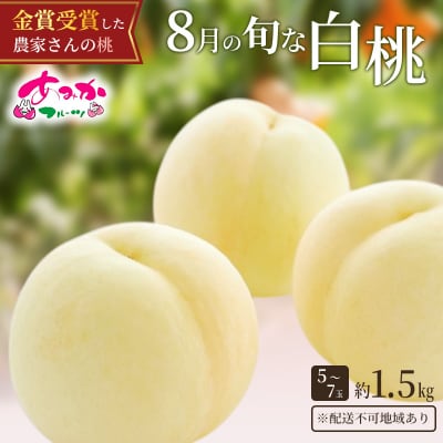 桃 2027年 8月の 白桃 約1.5kg 5～7玉 糖度12度以上[NO5765-0875]